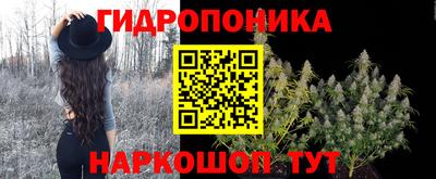 тгк Новокубанск