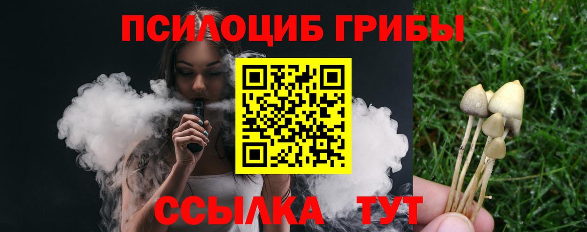 Галлюциногенные грибы Cubensis Среднеуральск
